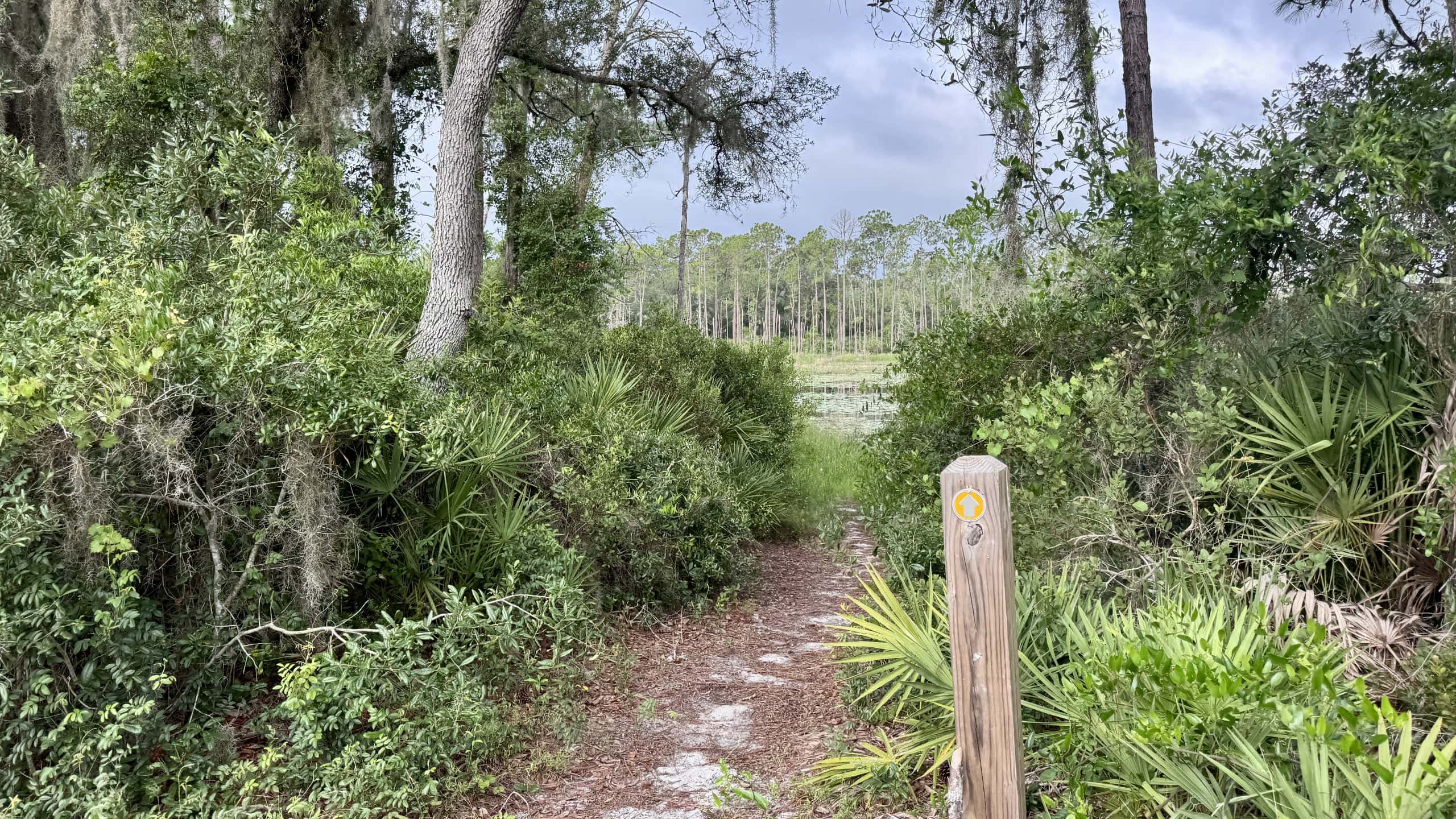 Path with orange marker through gap towards Lake