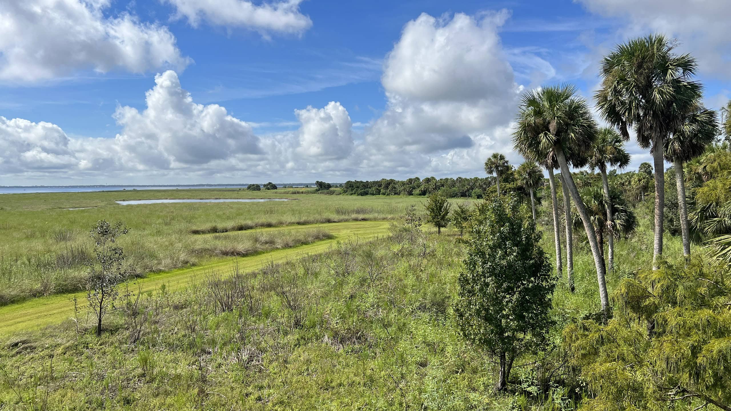 View of a floodplain and path in it from above