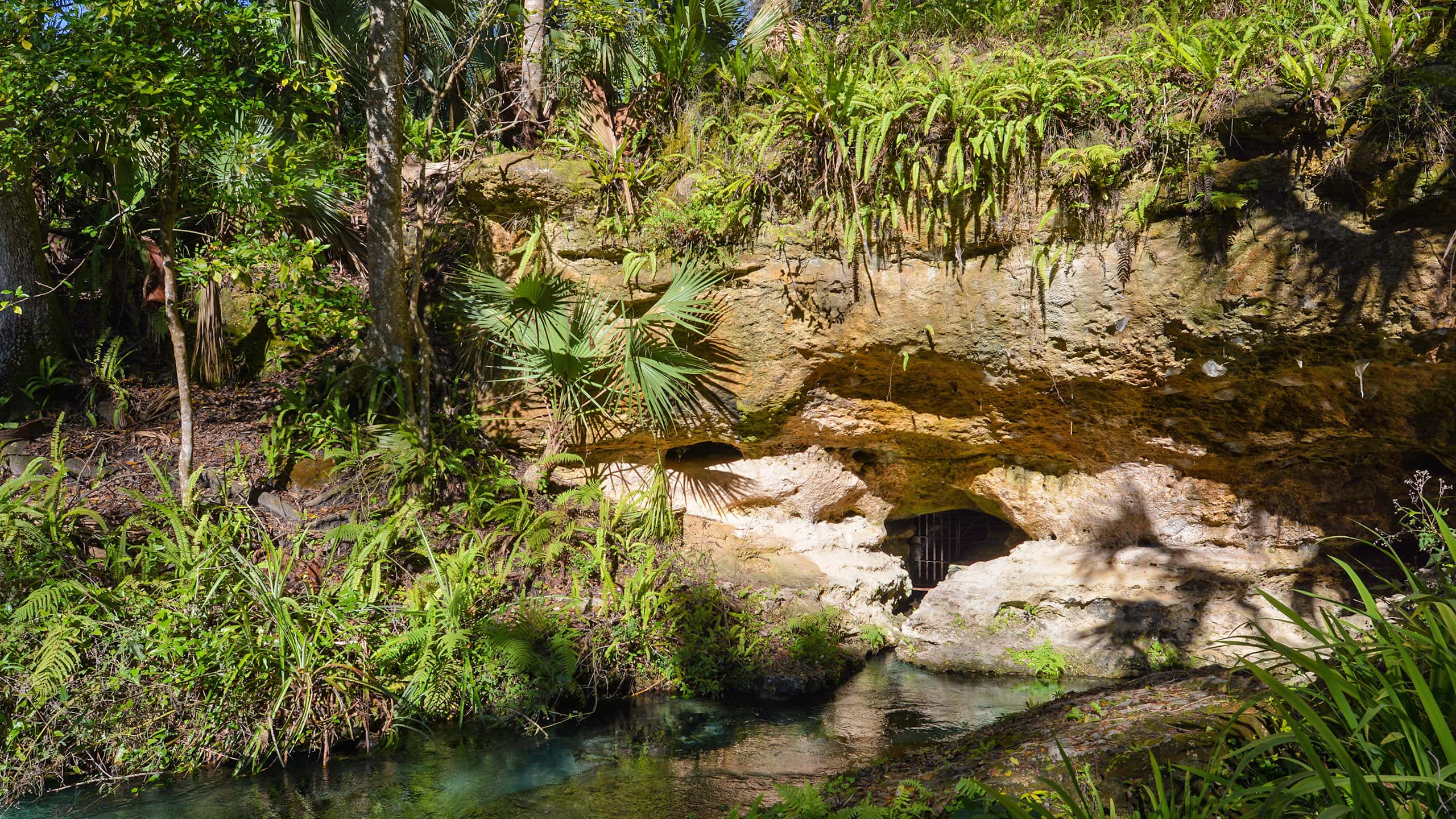 Cave with water below it