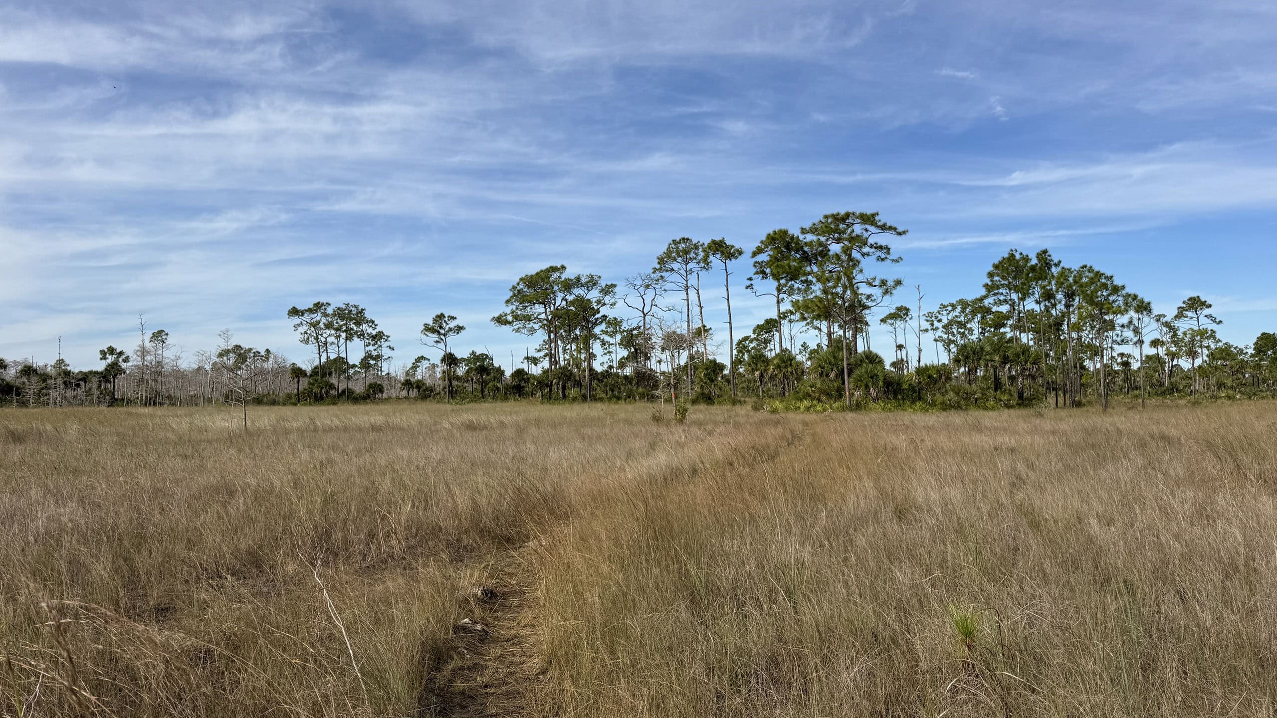 Footpath across an expansive savanna