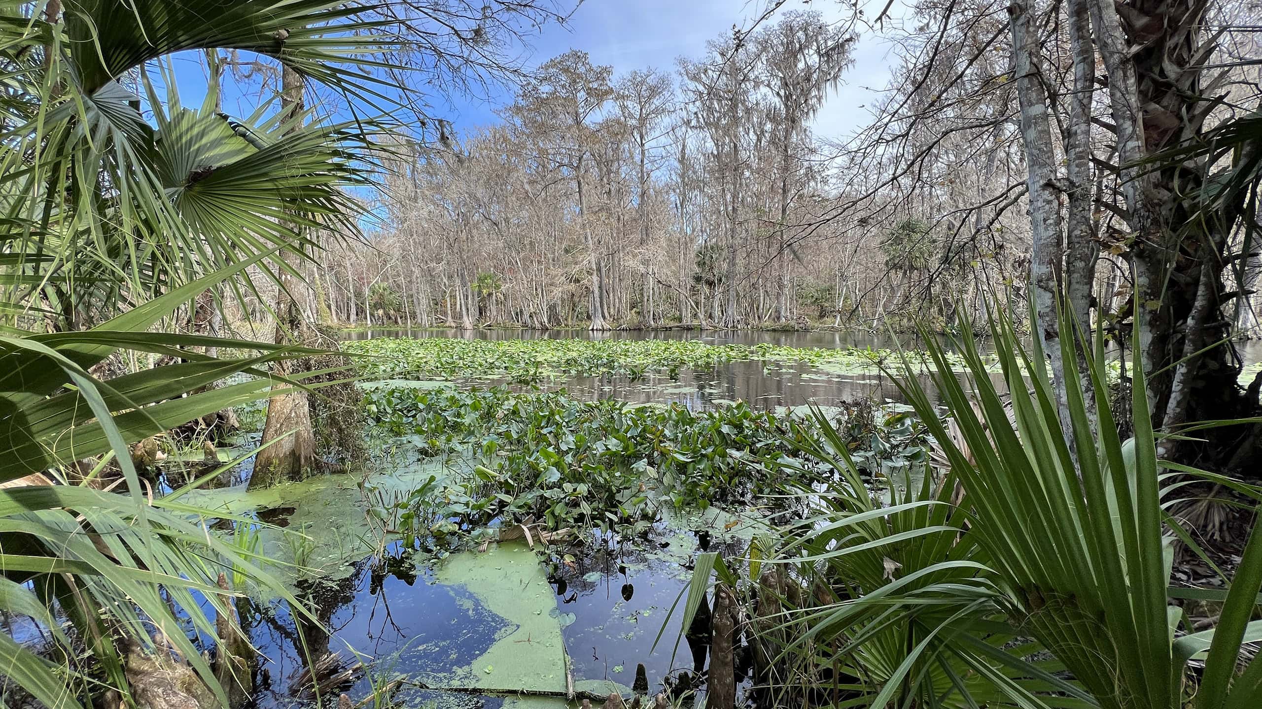 Silver Springs River Trail