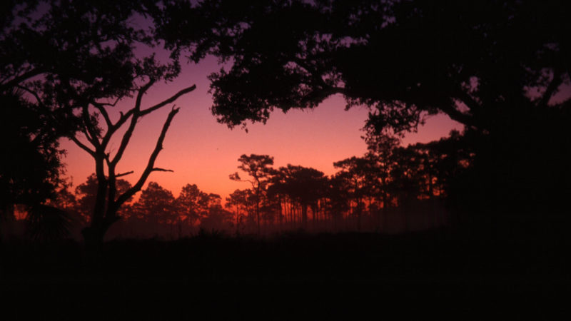 Sunrise at Bee Island
