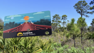 Florida State Park Pass floating over a pine-palm flatwoods landscape