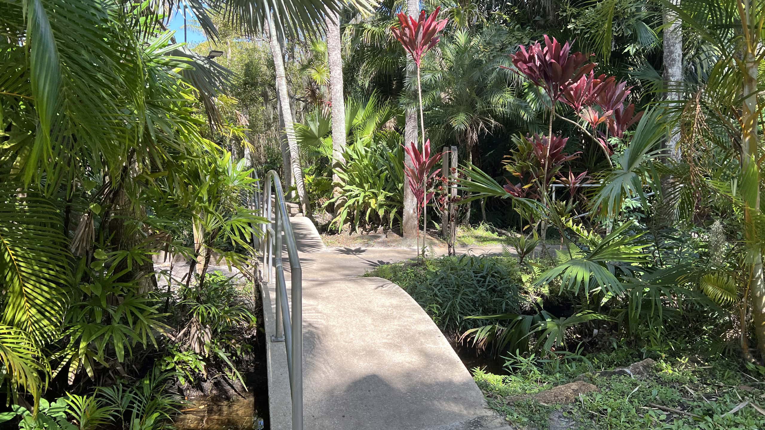 Arched bridges in a garden