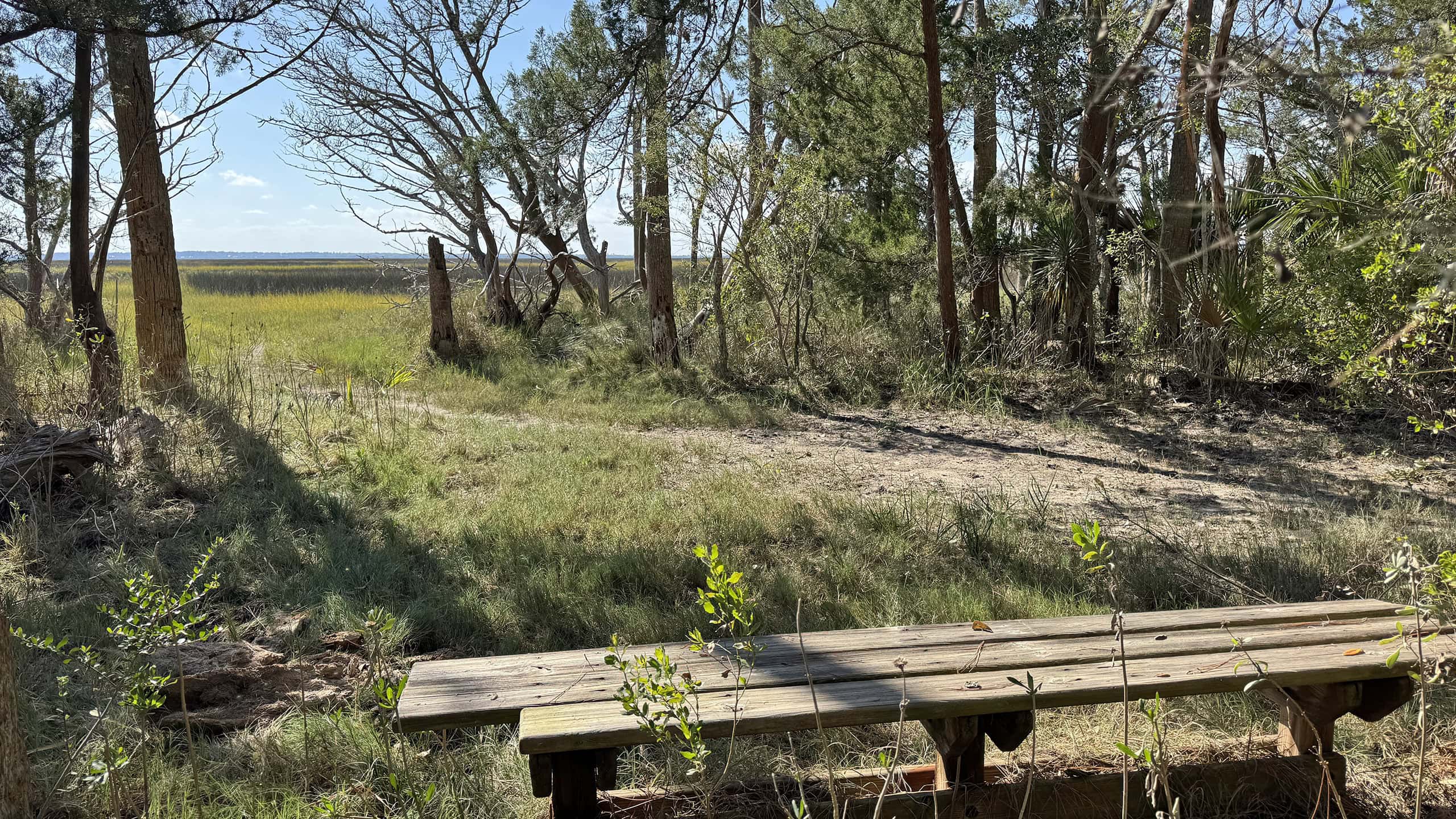 Estuary view from a wooden bench