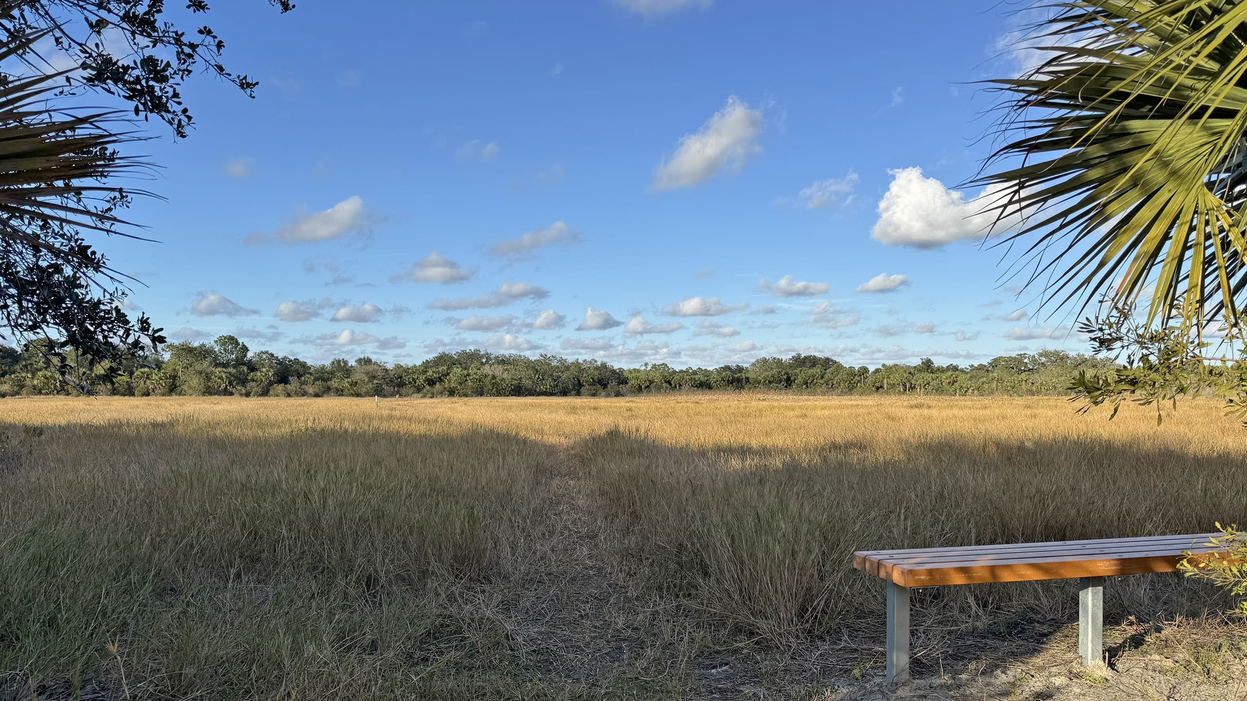Trail across an open prairie next to a bench