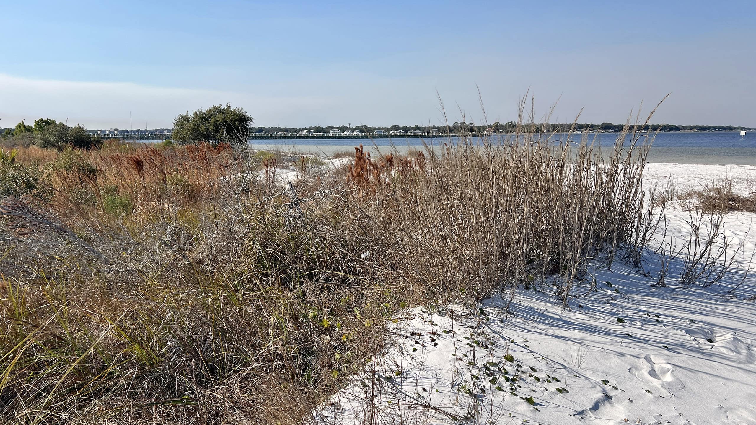 Sweep of bay beyond dunes and path through them
