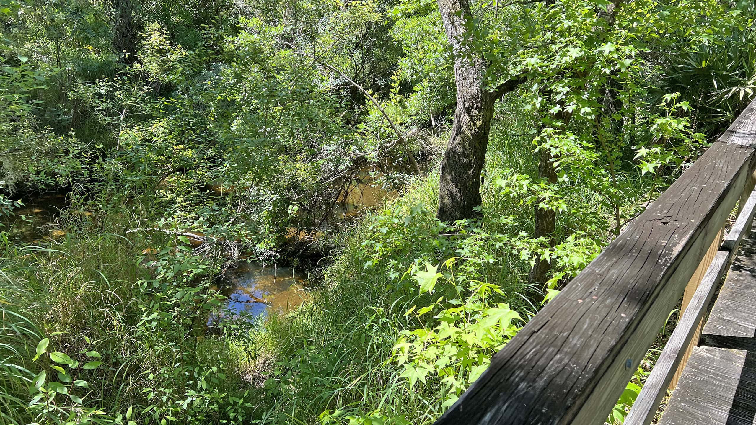 View of creek far below over railing