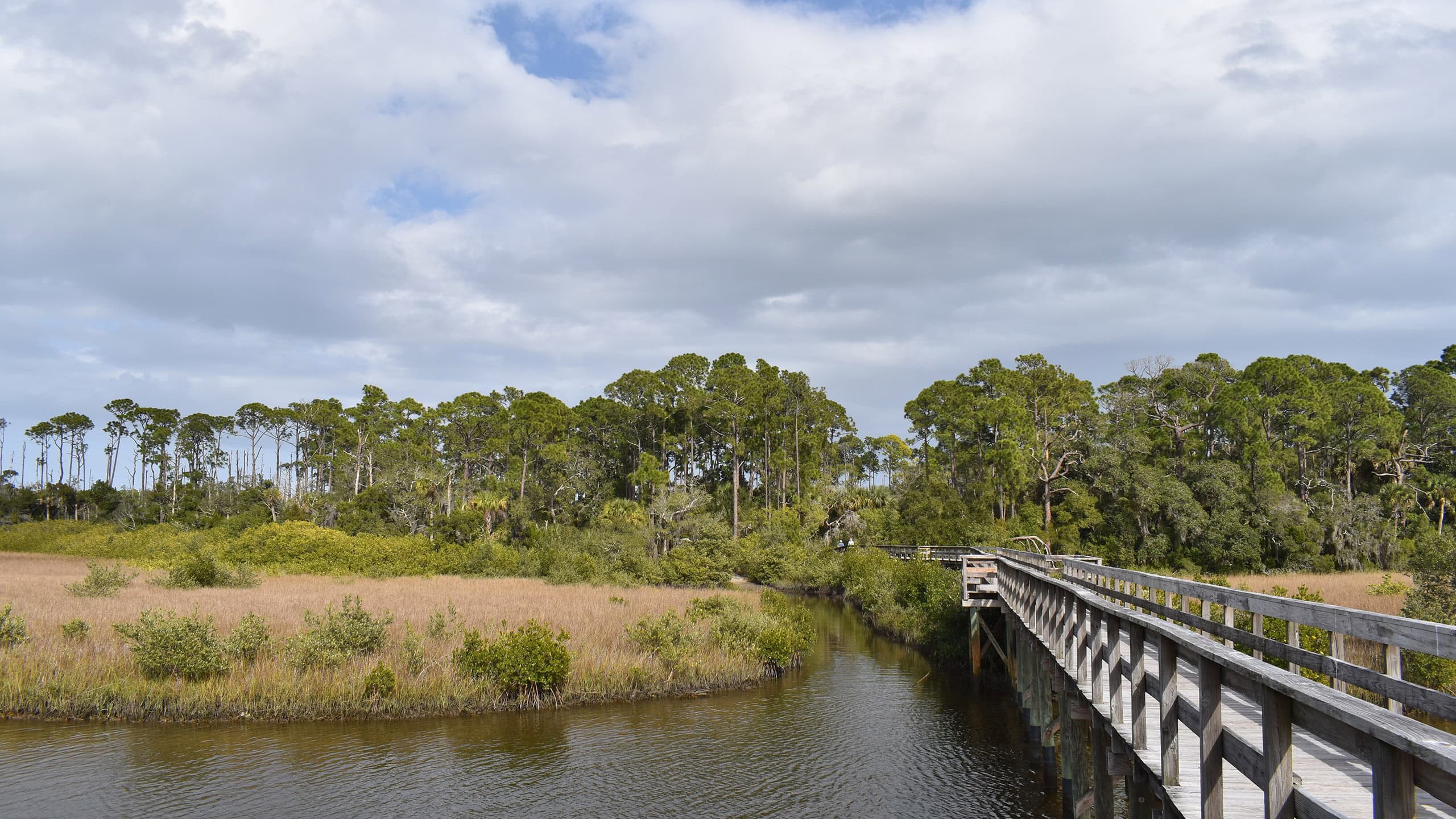 Island view from boardwalk