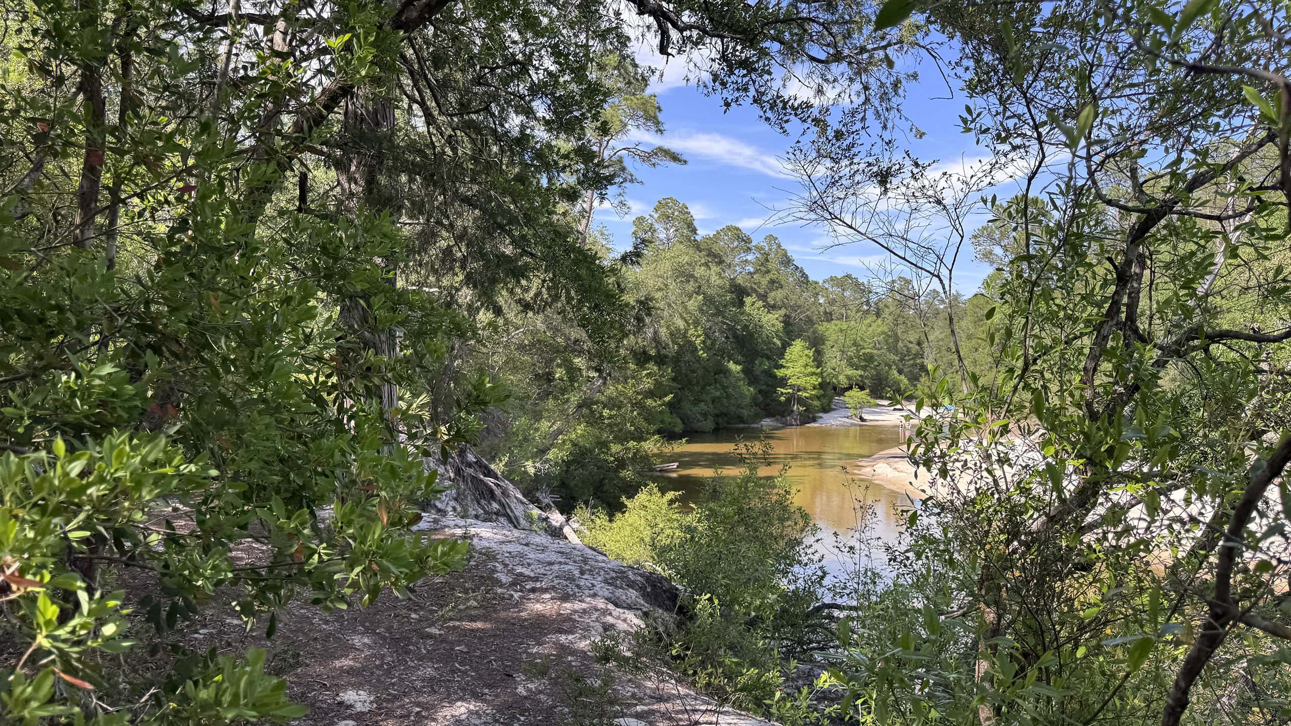 Bluff with showy river view