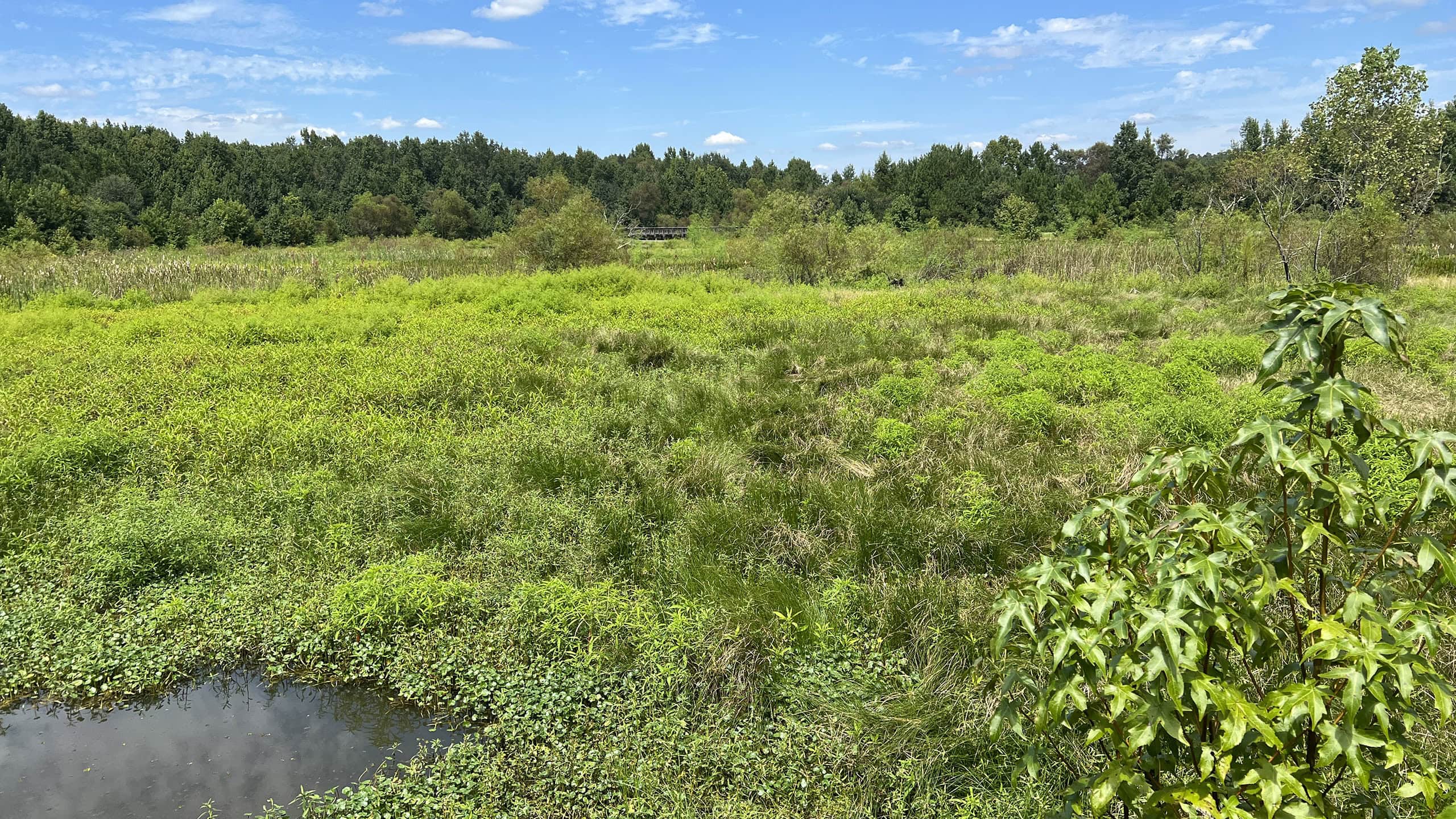 Okeeheepkee Prairie Preserve