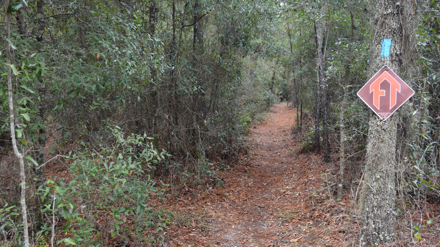 Land Bridge Loop, Cross Florida Greenway – Florida Hikes